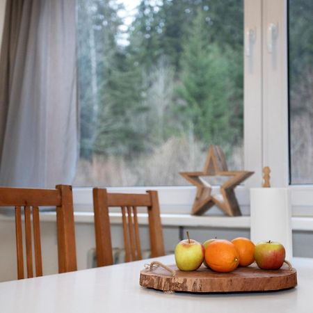 Apartmany Na Tanvaldskem Spicaku Jiretin pod Bukovou エクステリア 写真